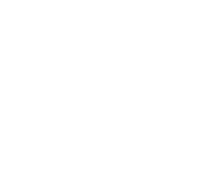 Benoit Inversiones Graficas